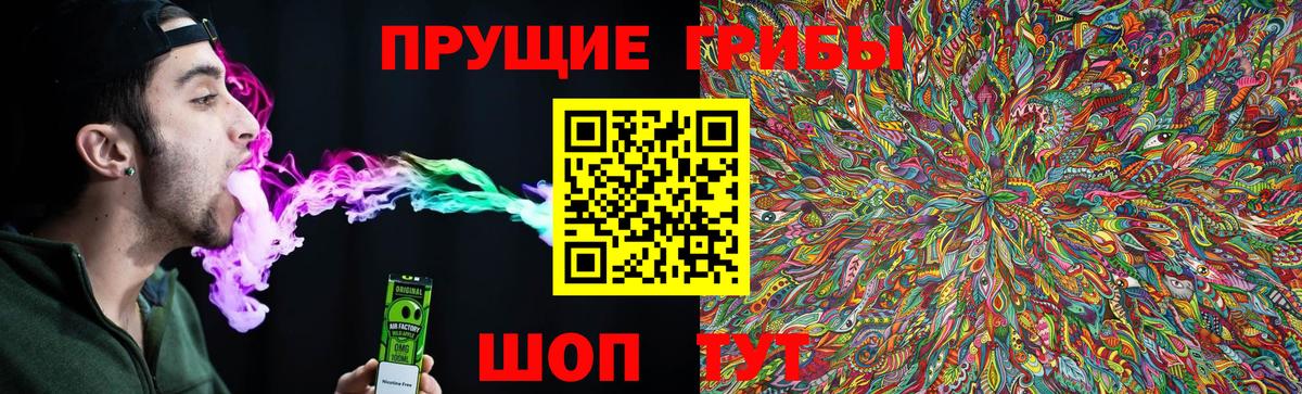 Псилоцибиновые грибы Magic Shrooms  Вход с VPN  Дальнереченск 